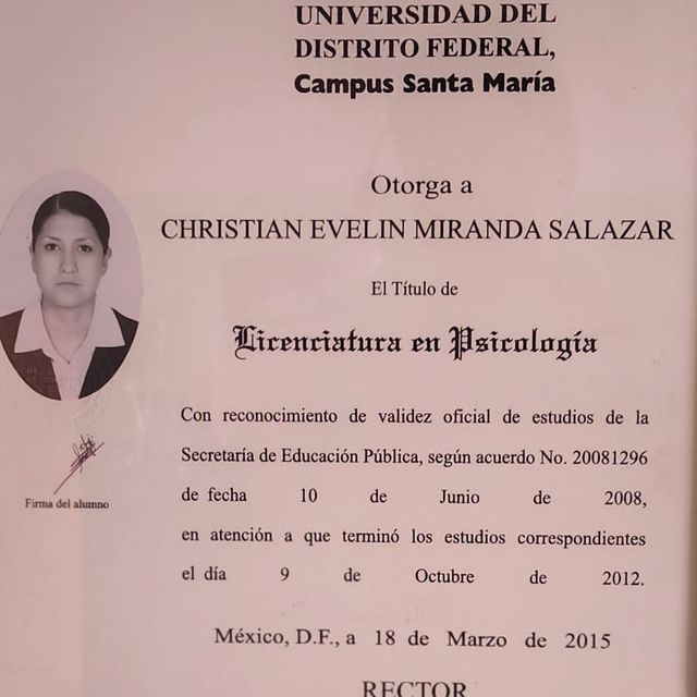 Ampliar imagen: certificate 1