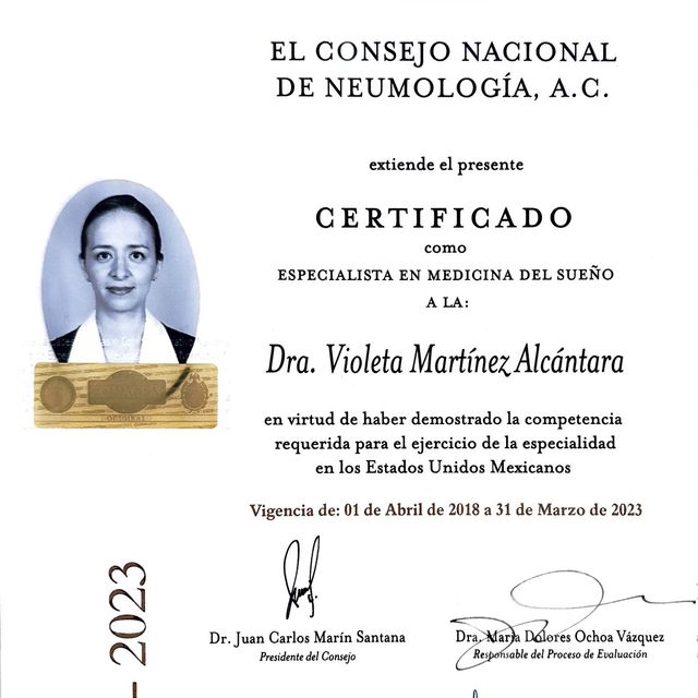 Ampliar imagen: certificate 3