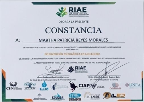 Ampliar imagen: certificate 5
