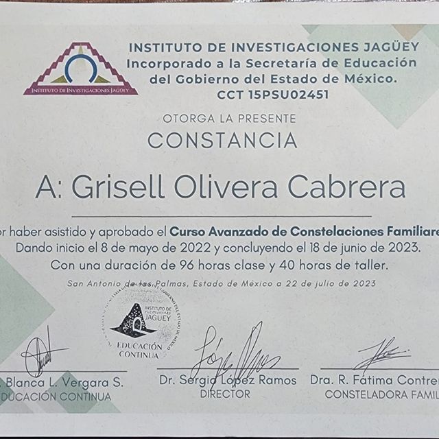 Ampliar imagen: certificate 1