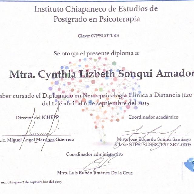 Ampliar imagen: certificate 6