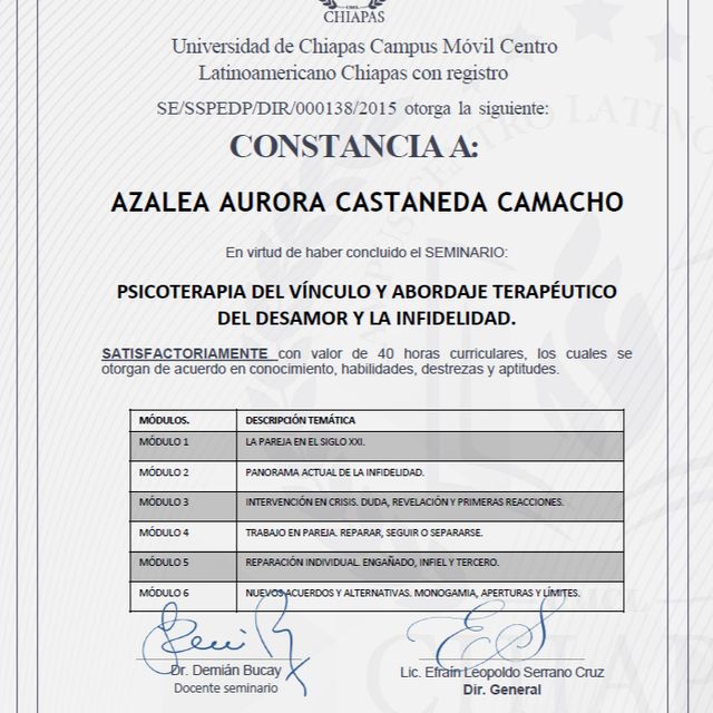 Ampliar imagen: certificate 24