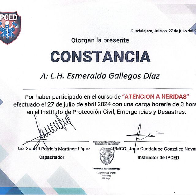 Ampliar imagen: certificate 6