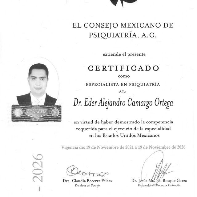 Ampliar imagen: certificate 1