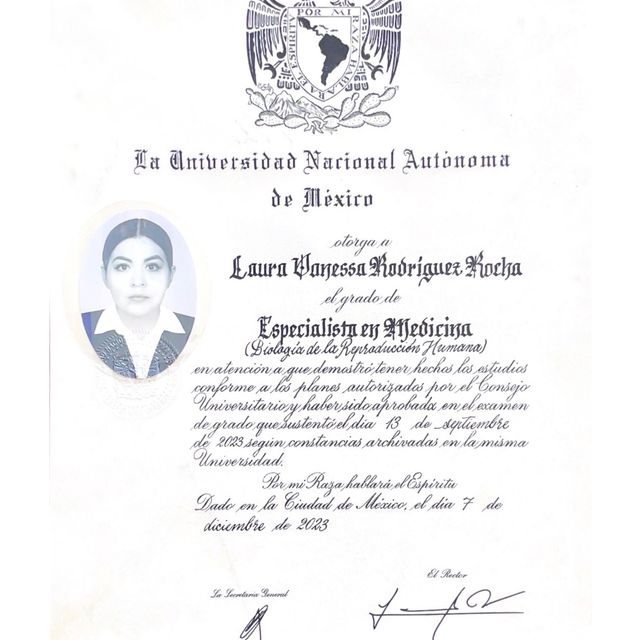 Ampliar imagen: certificate 5