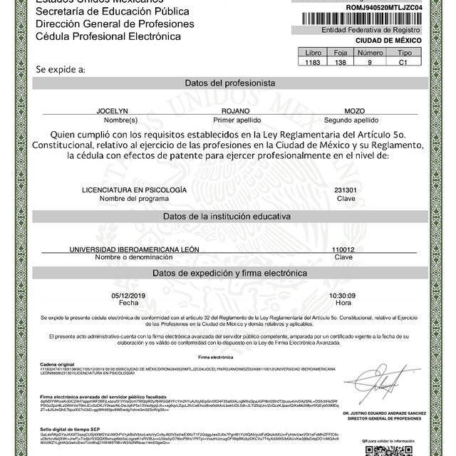 Ampliar imagen: certificate 4