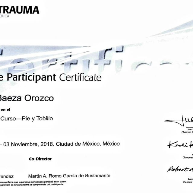 Ampliar imagen: certificate 5