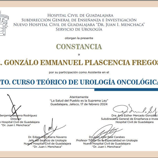 Ampliar imagen: certificate 5