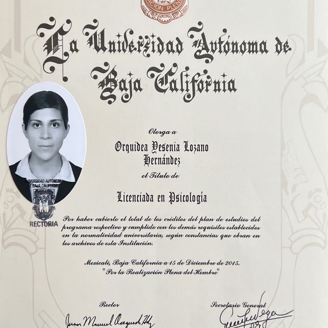 Ampliar imagen: certificate 1