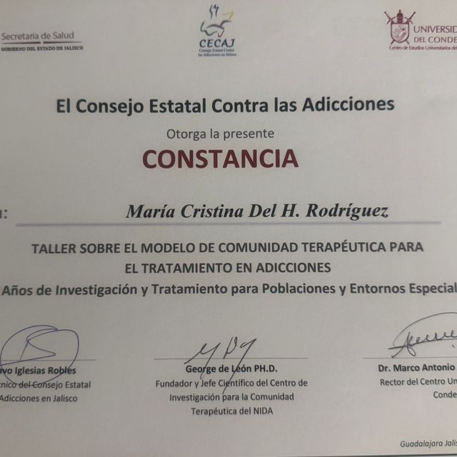 Ampliar imagen: certificate 3