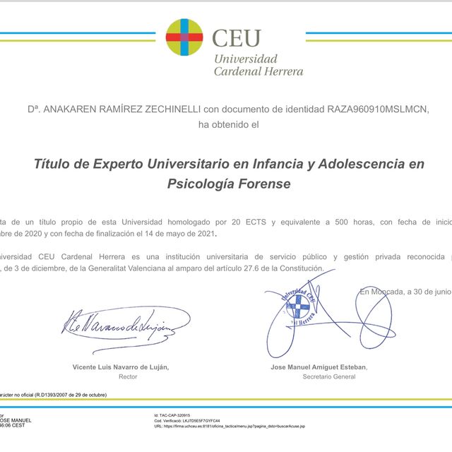 Ampliar imagen: certificate 4