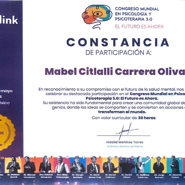 Ampliar imagen: certificate 5