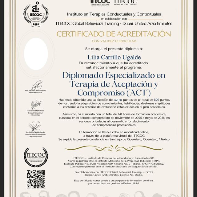 Ampliar imagen: certificate 3