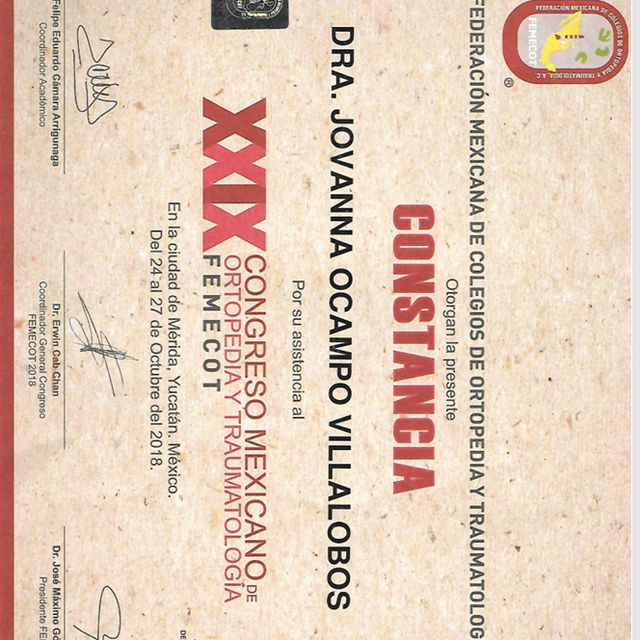 Ampliar imagen: certificate 6
