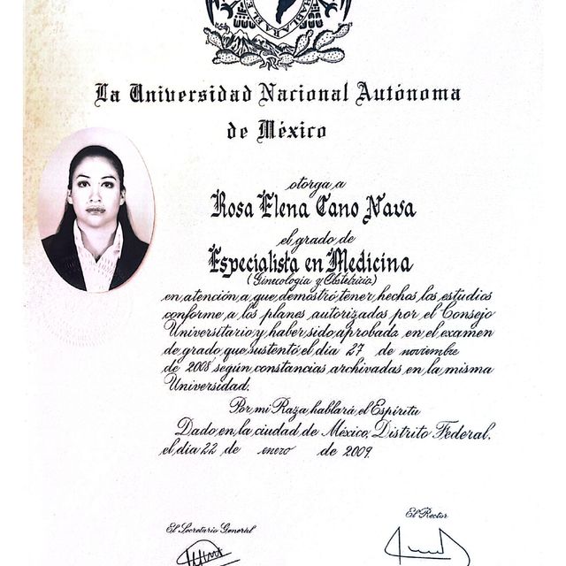 Ampliar imagen: certificate 1