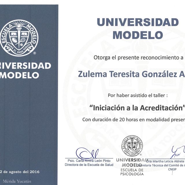 Ampliar imagen: certificate 26