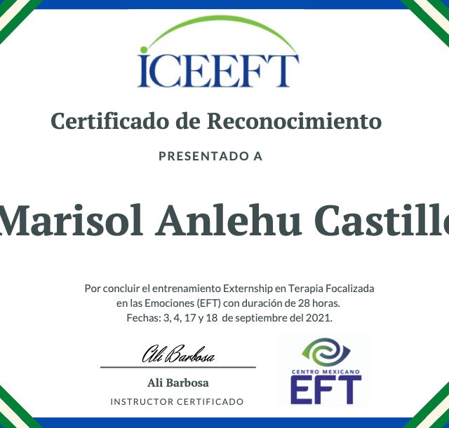 Ampliar imagen: certificate 1