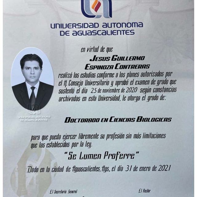 Ampliar imagen: certificate 2
