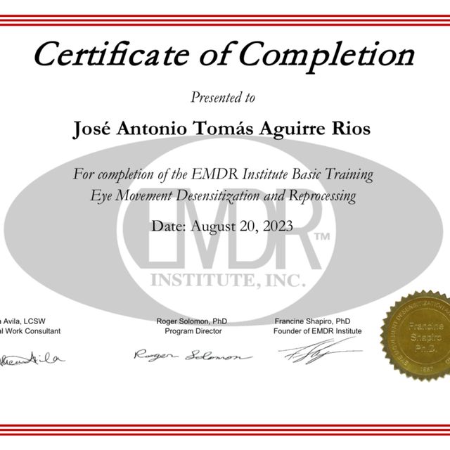 Ampliar imagen: certificate 3