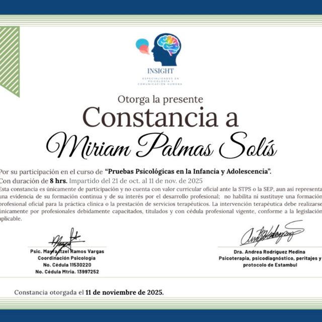 Ampliar imagen: certificate 3