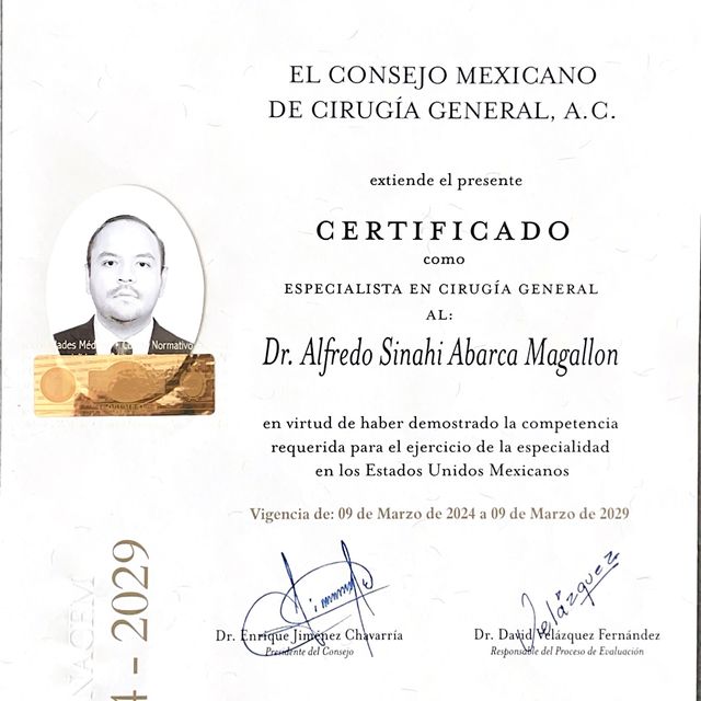 Ampliar imagen: certificate 1