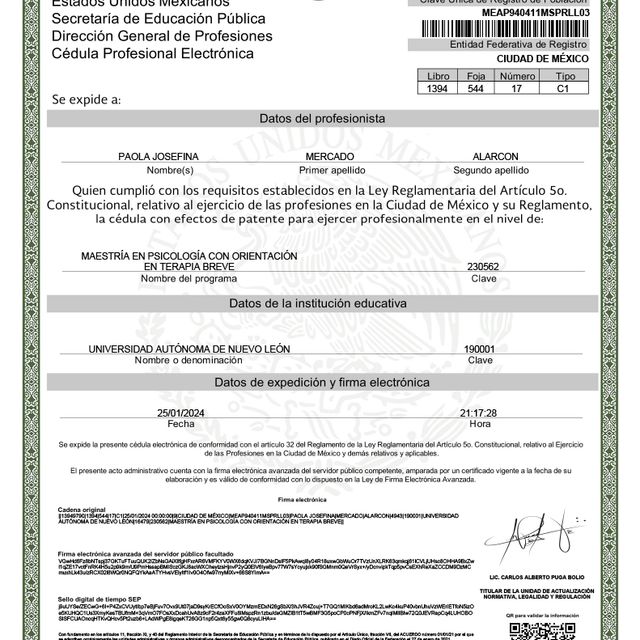 Ampliar imagen: certificate 1