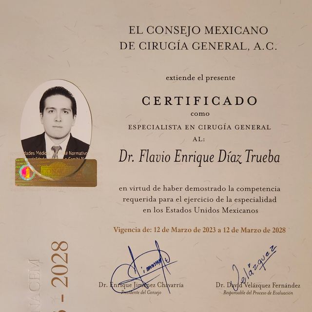 Ampliar imagen: certificate 4