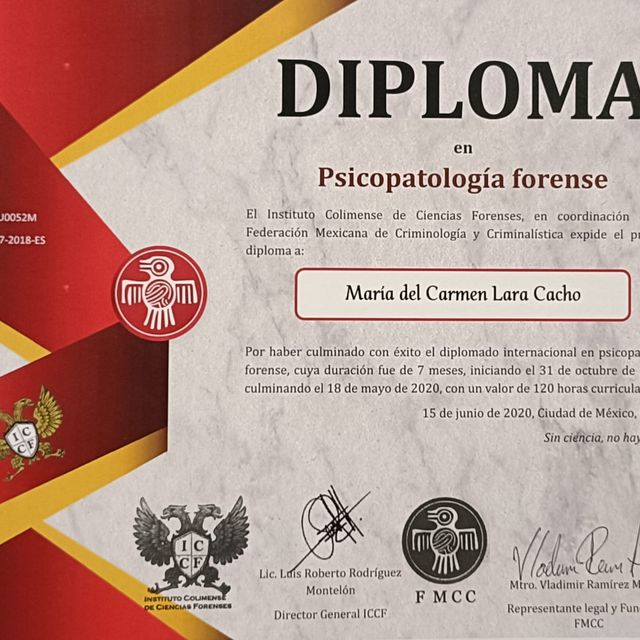 Ampliar imagen: certificate 6