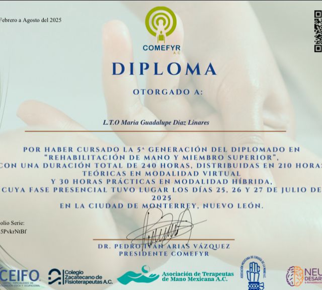 Ampliar imagen: certificate 3