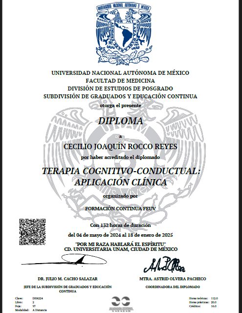 Ampliar imagen: certificate 1