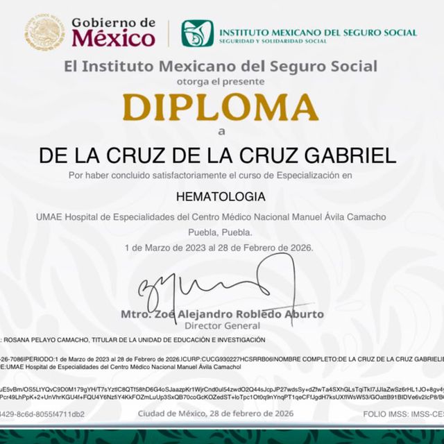 Ampliar imagen: certificate 2