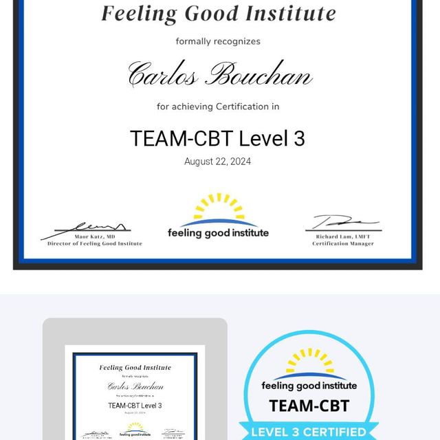 Ampliar imagen: certificate 3