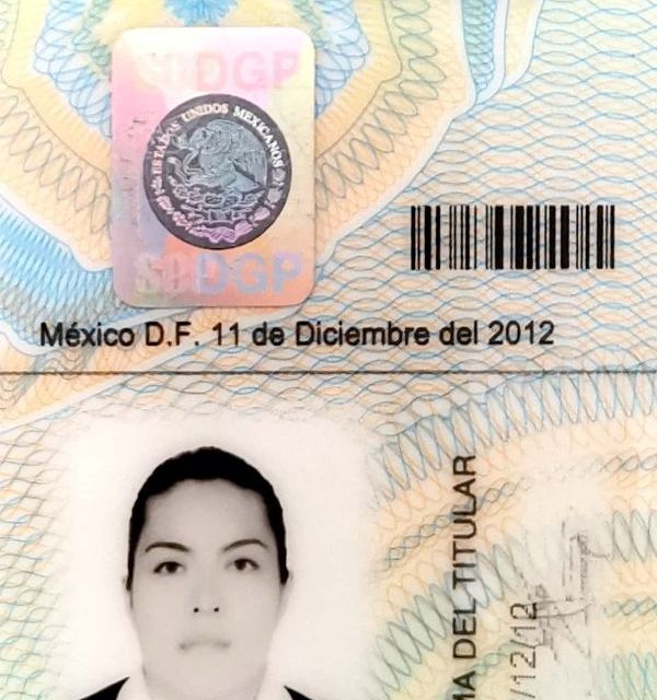 Ampliar imagen: certificate 2