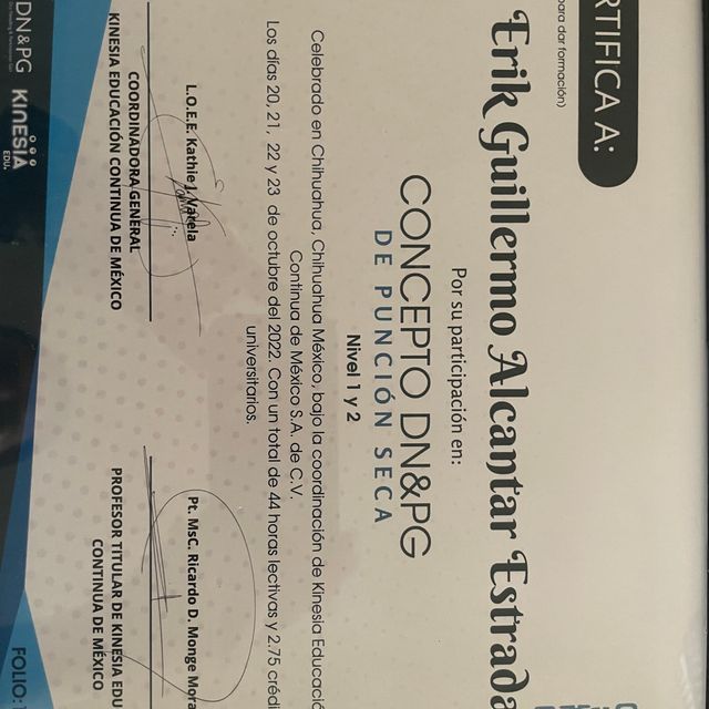 Ampliar imagen: certificate 3