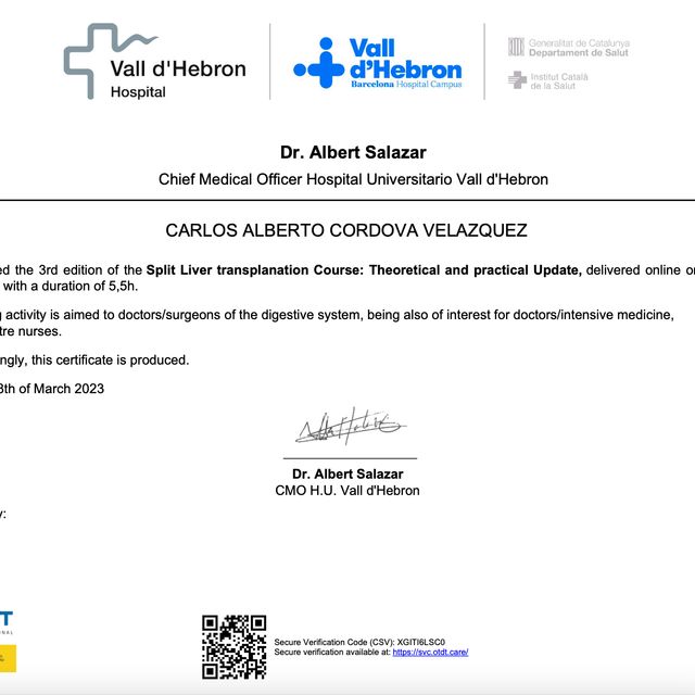 Ampliar imagen: certificate 10