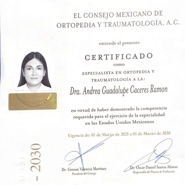 Ampliar imagen: certificate 2