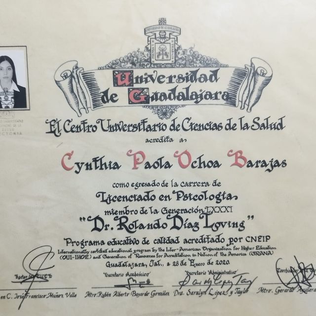 Ampliar imagen: certificate 1