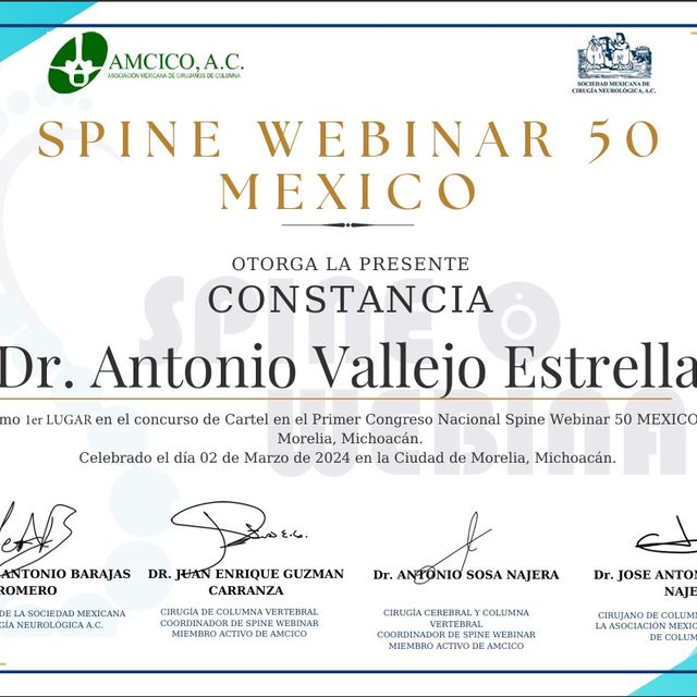 Ampliar imagen: certificate 1