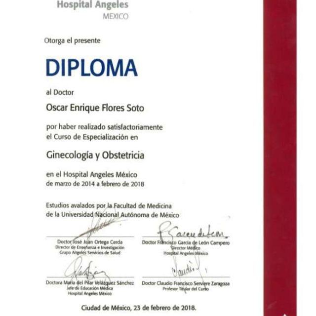 Ampliar imagen: certificate 3