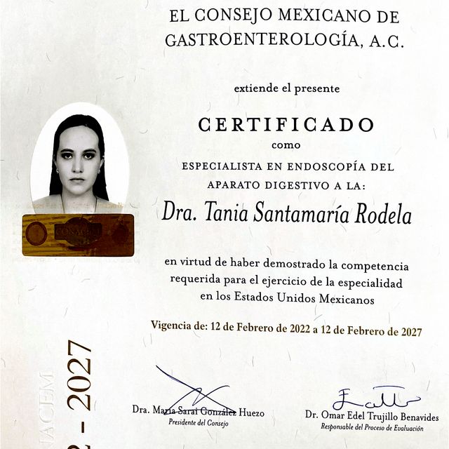 Ampliar imagen: certificate 1