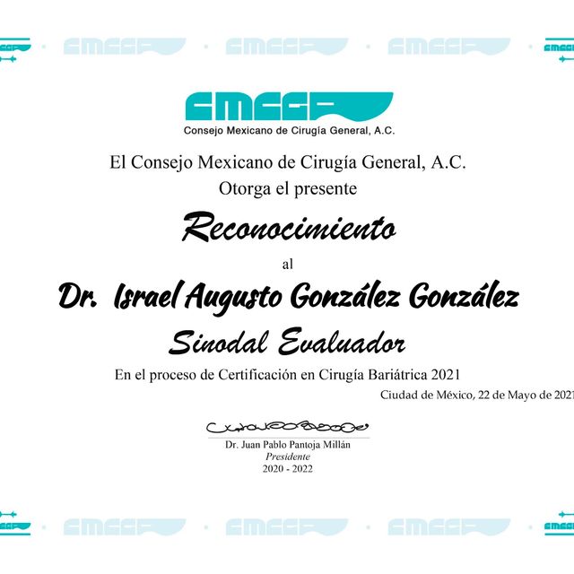 Ampliar imagen: certificate 15