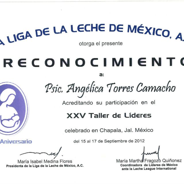 Ampliar imagen: certificate 6
