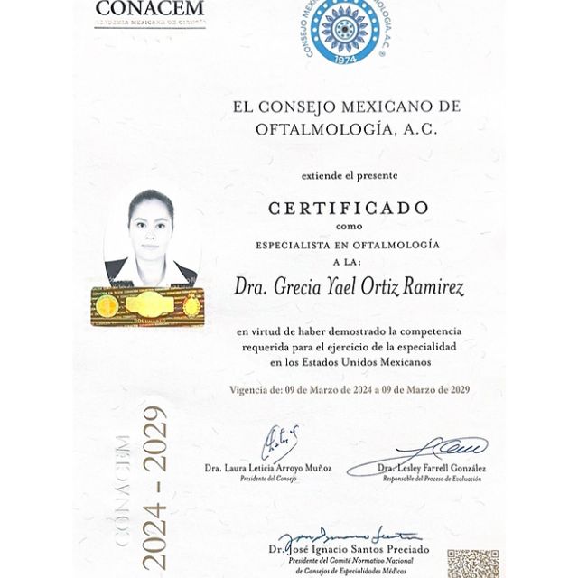Ampliar imagen: certificate 1
