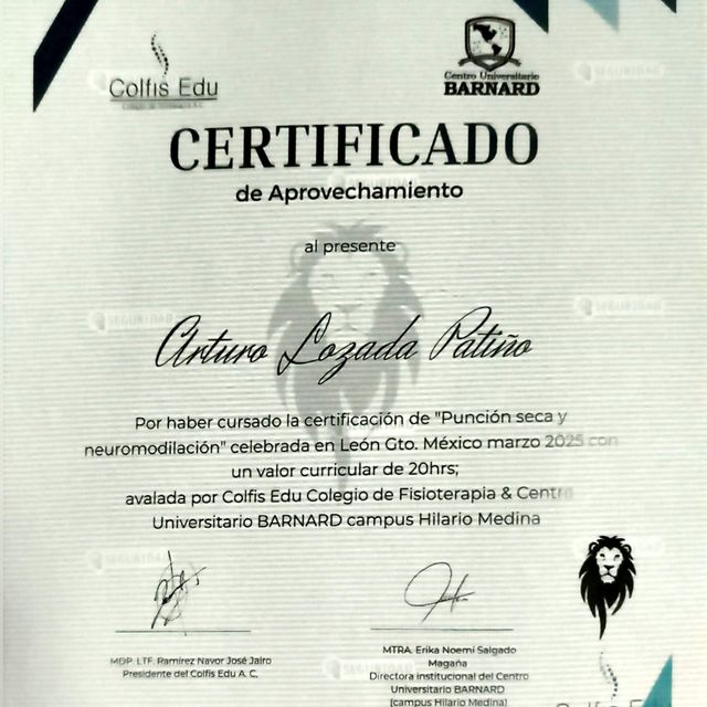 Ampliar imagen: certificate 2