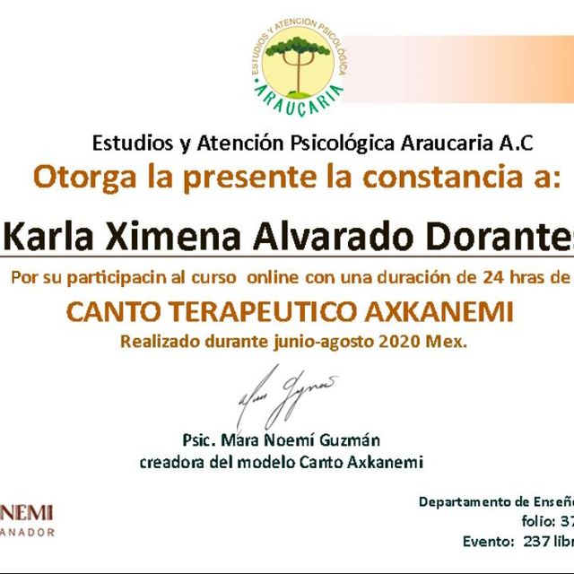 Ampliar imagen: certificate 9