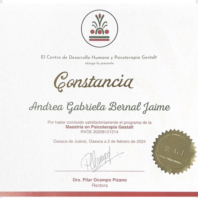 Ampliar imagen: certificate 7