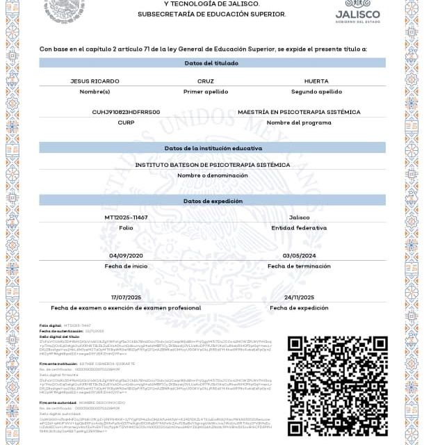 Ampliar imagen: certificate 7