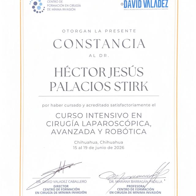Ampliar imagen: certificate 1