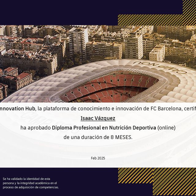 Ampliar imagen: certificate 17