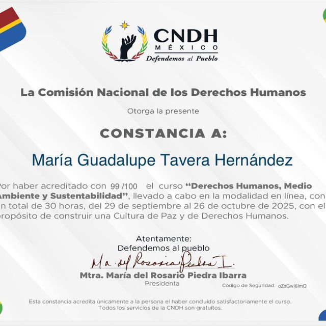 Ampliar imagen: certificate 107
